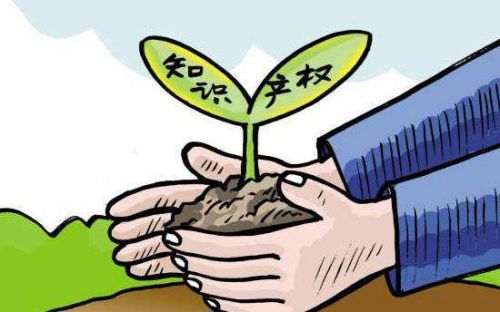 万通知识产权