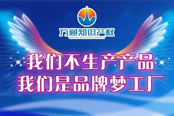 万通知识产权-作品著作权侵权案中对侵犯复制权和改编权的分析！
