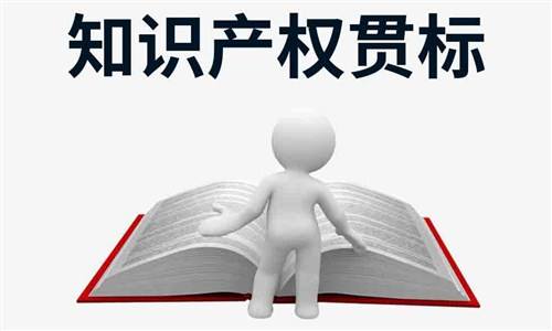 福建省南平市企业申报知识产权贯标有哪些奖励补助？