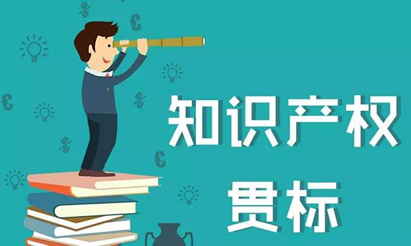 福建省龙岩市各县/区知识产权贯标认证奖励政策通知！