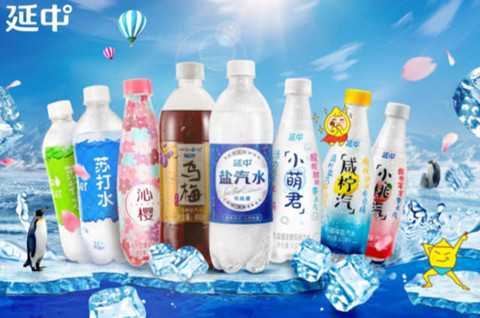 “延中”商标估值达9.8亿，其公司用商标抵押成功获贷5000万元！南安商标续展费用多少
